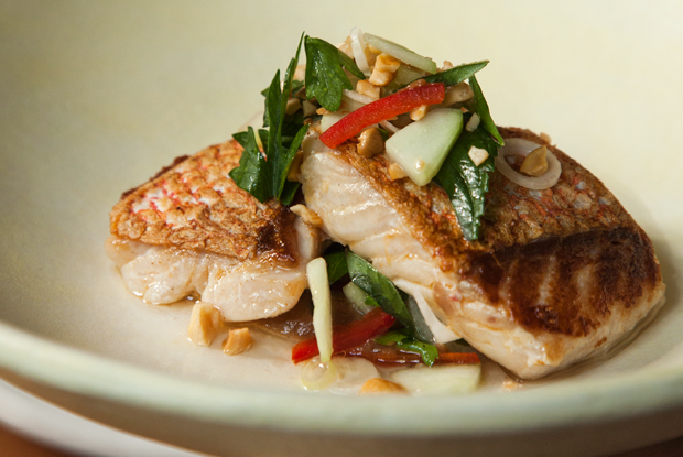 Rosetta-LATAM-2018-DISH2